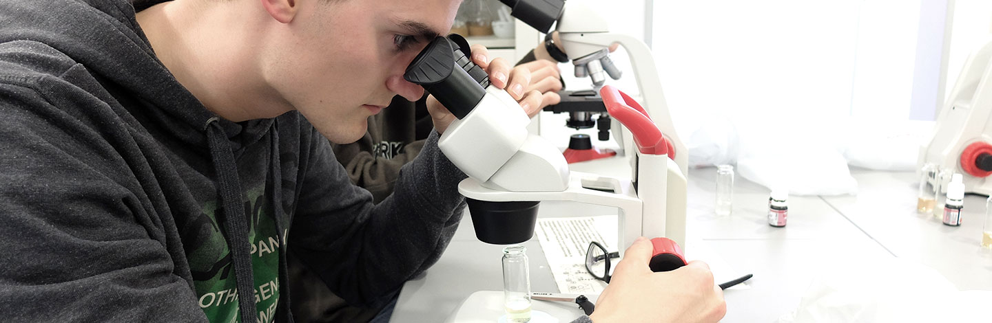 Mann blickt durch ein Mikroskop - Neue Webseite Dr. Hans Riegel Stiftung