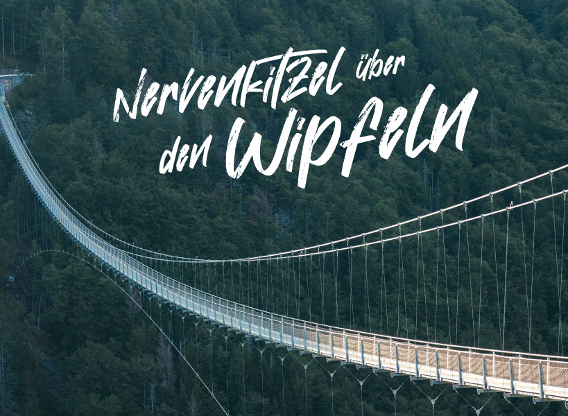 Luftaufnahme der Hängebrücke BLACKFORESTLINE im Schwarzwald