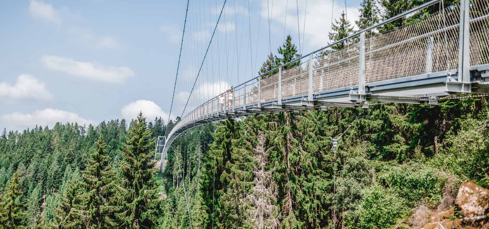 Zwei ältere Menschen stehen lächelnd auf einer WILDLINE Hängebrücke über einem Wald und lehnen sich an das Geländer