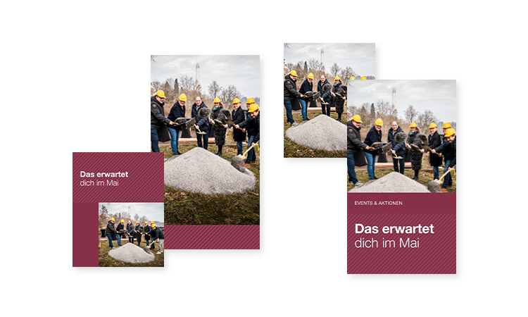 Darstellung verschiedener Social Media-Posts & -Stories der NECKARLINE.