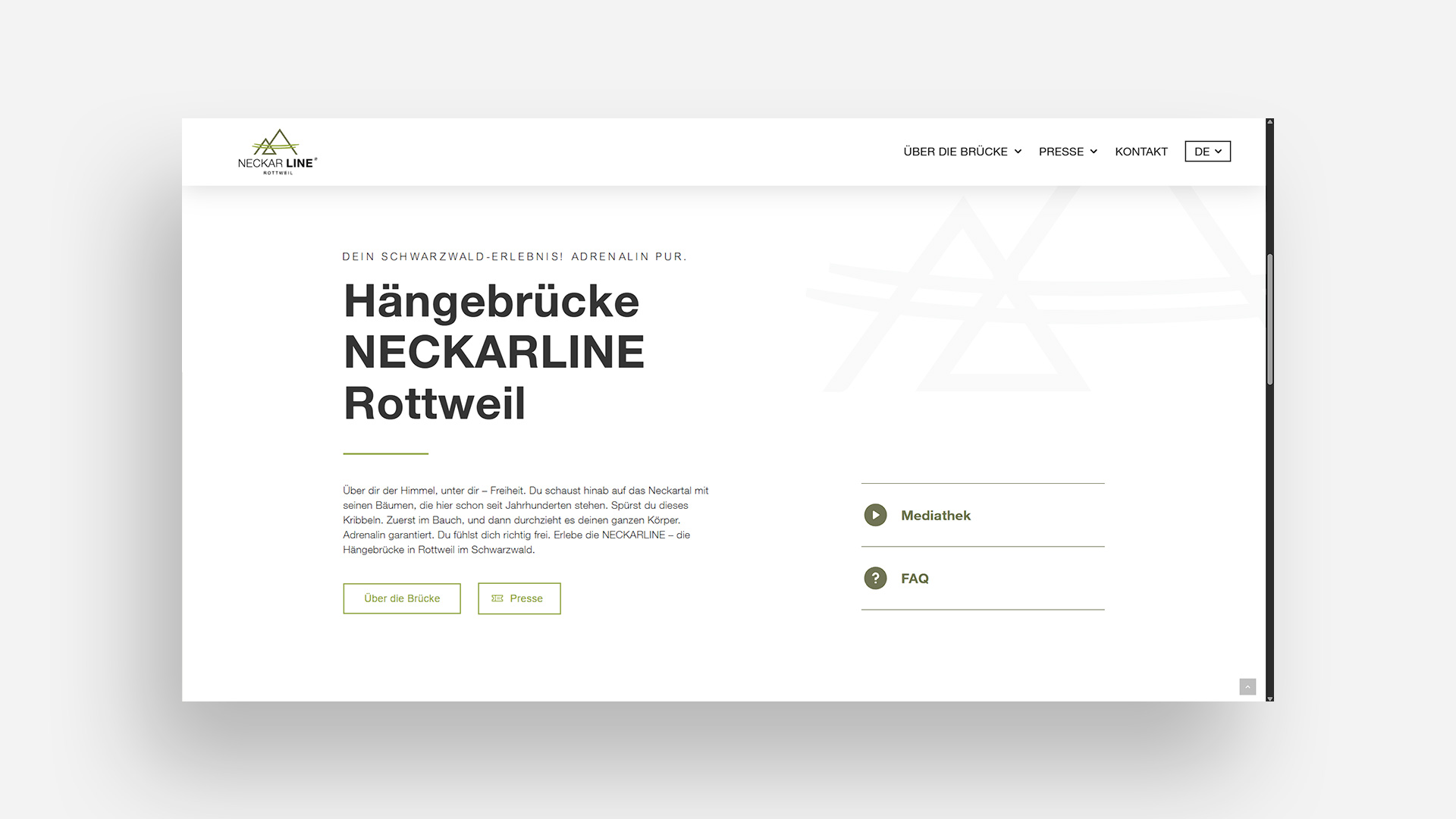 Darstellung der Startseite der Webseite der NECKARLINE.