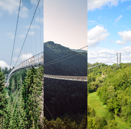 Collage dreier Hängebrücken im Wald nebeneinander.