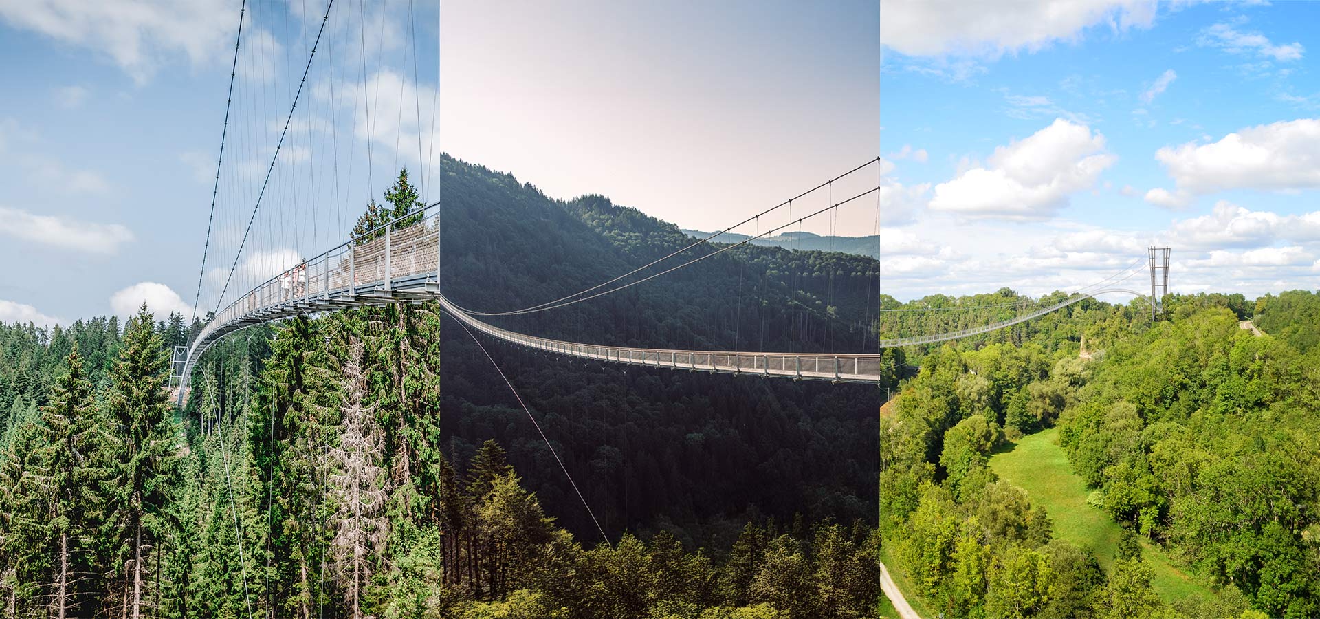 Collage dreier Hängebrücken im Wald nebeneinander.