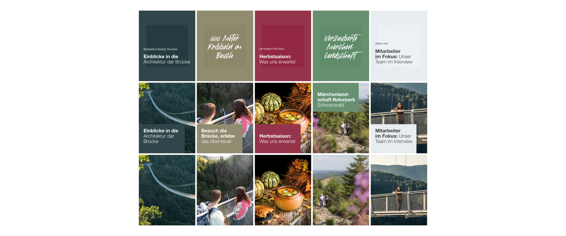 Darstellung verschiedener Social-Media-Posts der BLACKFORESTLINE im Raster.