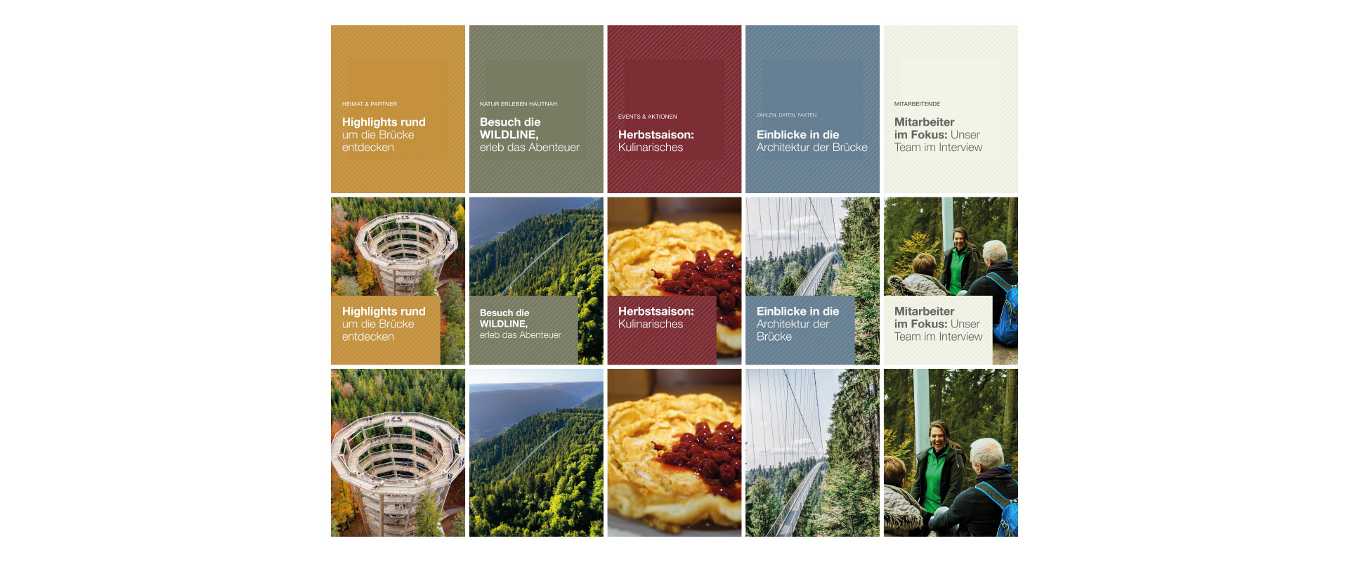 Darstellung verschiedener Social-Media-Posts der WILDLINE im Raster.